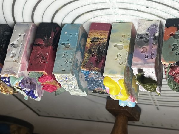 TS COLLECTION SET OF 11 SOAPS - Image 13